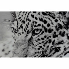 V12HA099171AA3B191778D3E173C36D55CCAR6371989P2