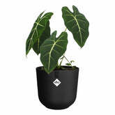 V5HF715C9F2A4572B617420F193B7629BBDR5780557P1