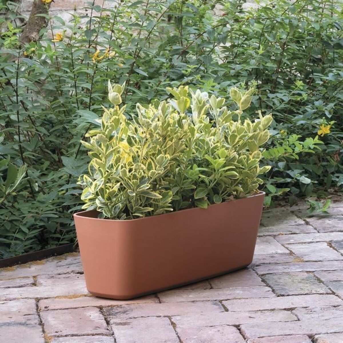 V5H48293415D8EF234D404C97DA18FF63D0R5780038P2