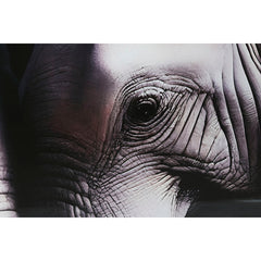 V7HD8455B5CD53F2D13102131529DB5AE99R6373147P3