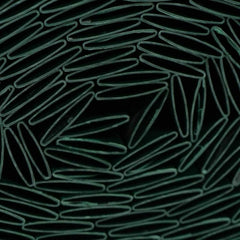 V6H31949CE8D206160C0FDBFCAEA3A4FCC1R6467261P2